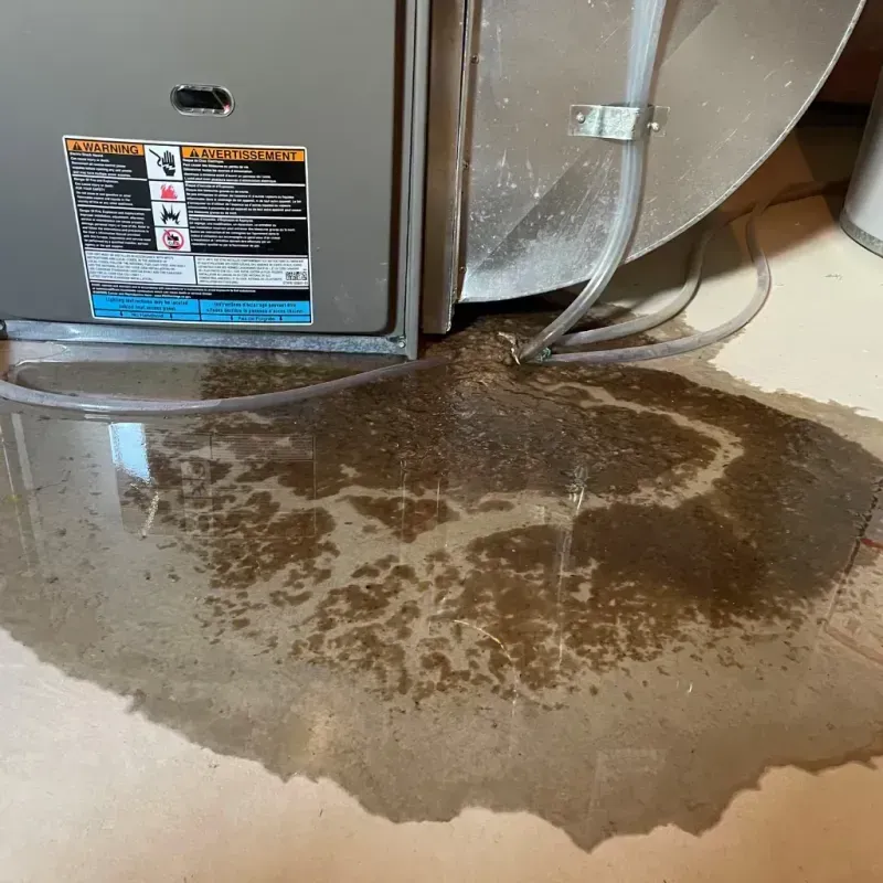 Appliance Leak Cleanup in Colfax, CA